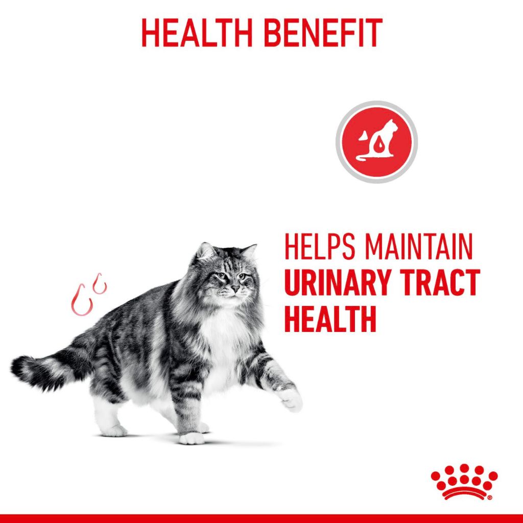 Royal Canin Urinary Care Adult 2kg/4KG Dry Cat Food