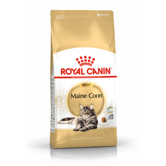 Royal Canin Maine Coon Adult Dry Cat Food