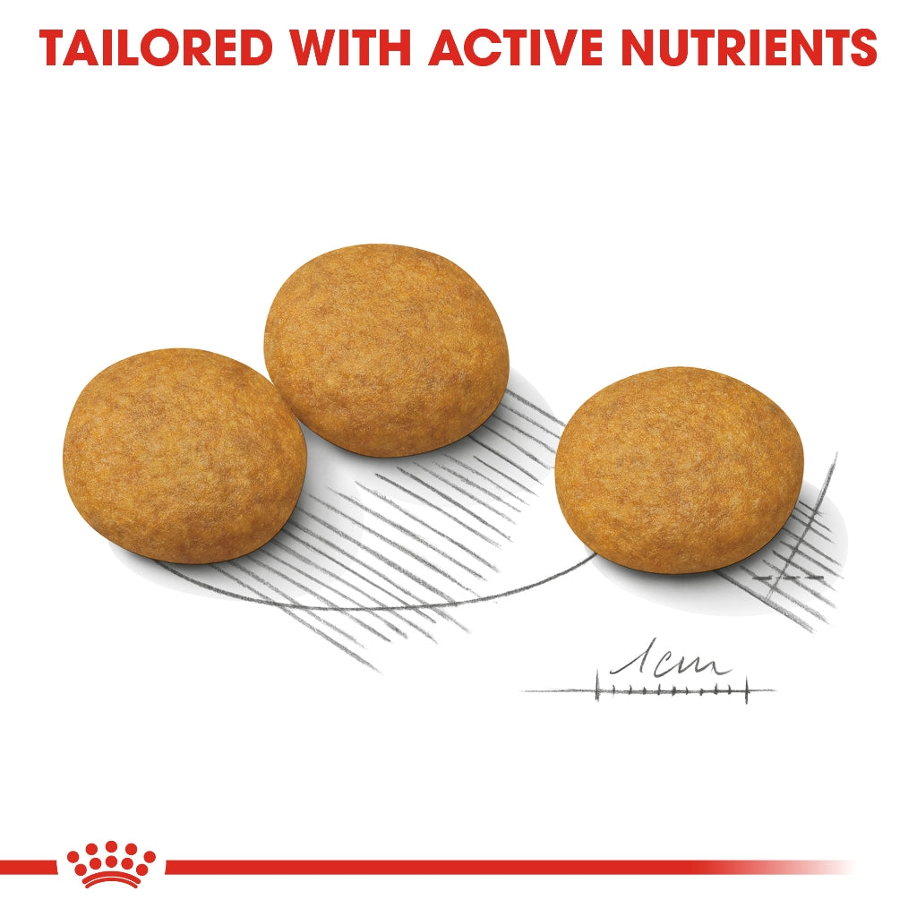 Royal Canin Medium Dermacomfort Adult (12kg) Dry Dog Food
