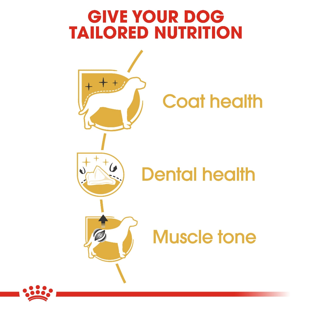 Royal Canin Poodle Adult 1.5KG/3KG Dry Dog Food