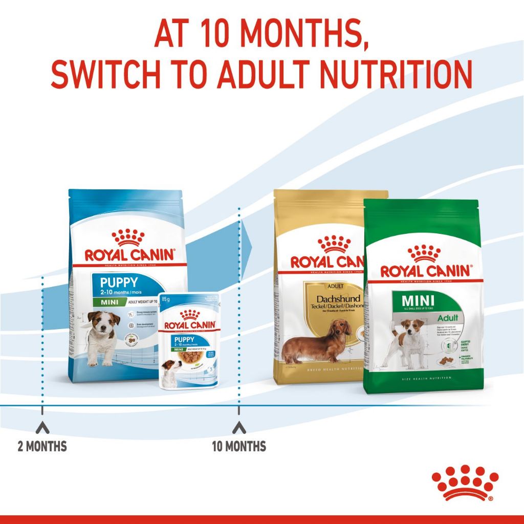 Royal Canin Mini Puppy 2KG/4KG Dry Dog Food