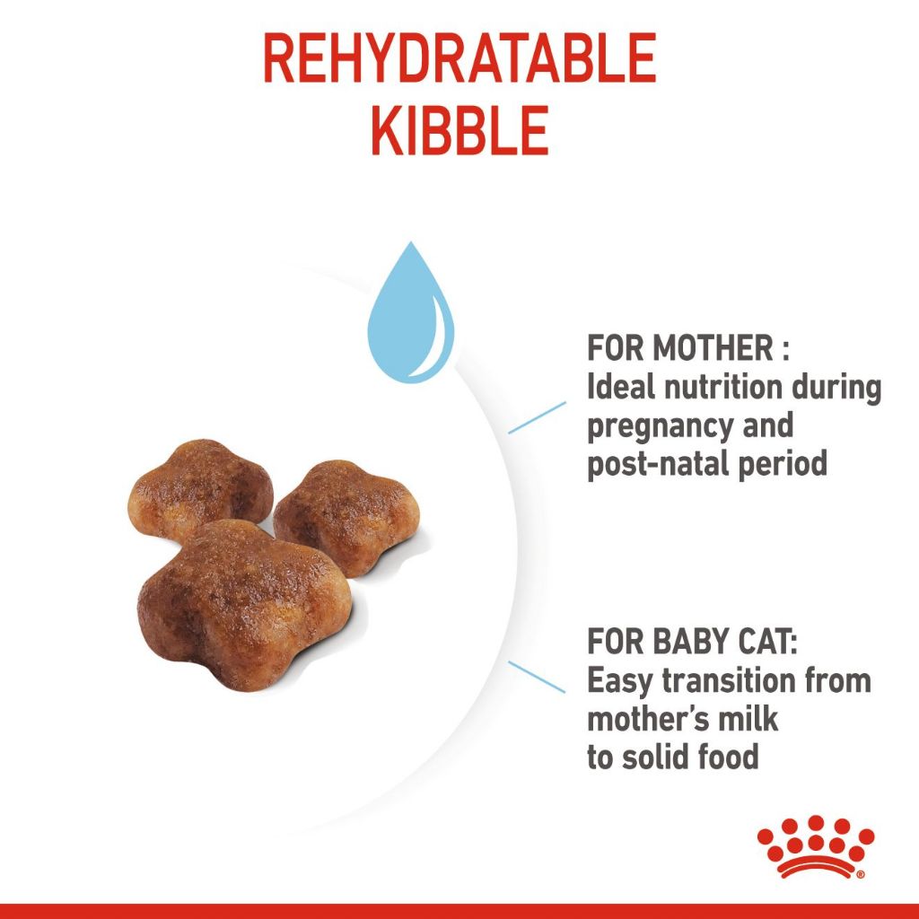 Royal Canin Mother & Babycat 2kg/4KG Dry Cat Food