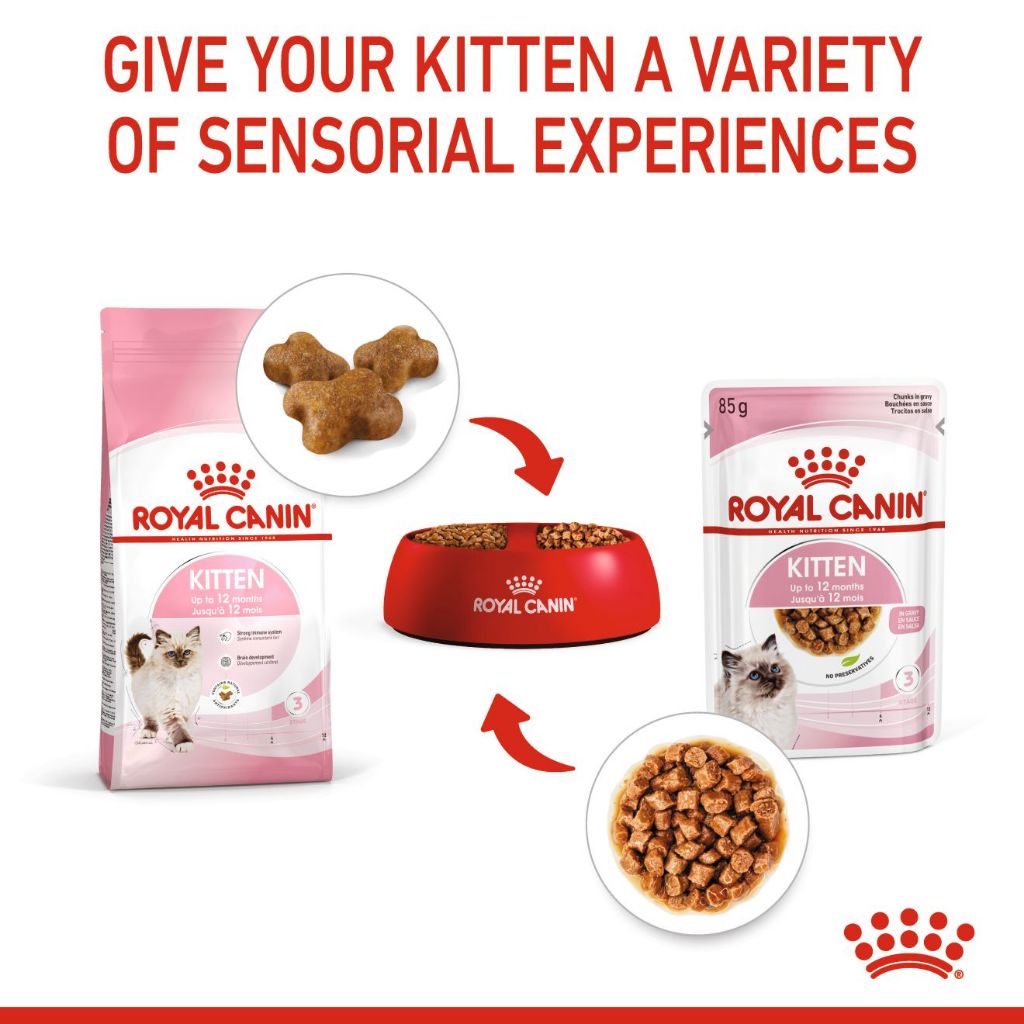 Royal Canin Kitten 2KG/4KG Dry Cat Food