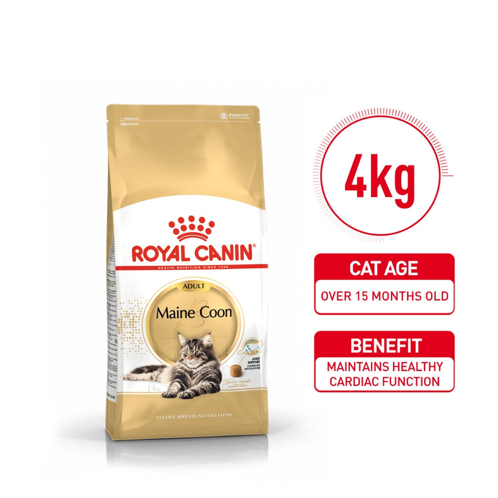 Royal Canin Maine Coon Adult Dry Cat Food