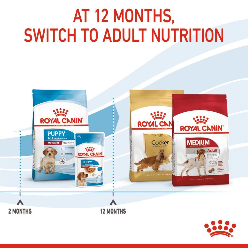 Royal Canin Medium Puppy (4kg) Dry Dog Food