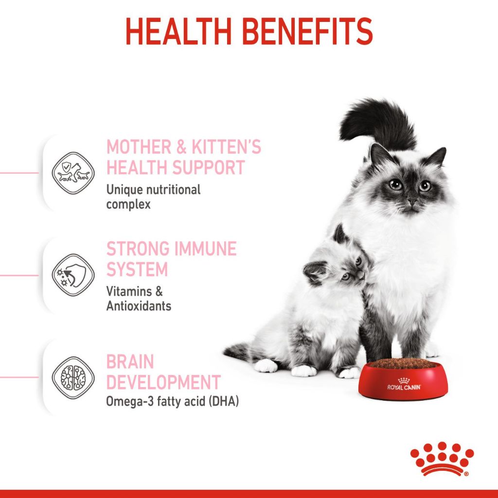 Royal Canin Mother & Babycat 2kg/4KG Dry Cat Food