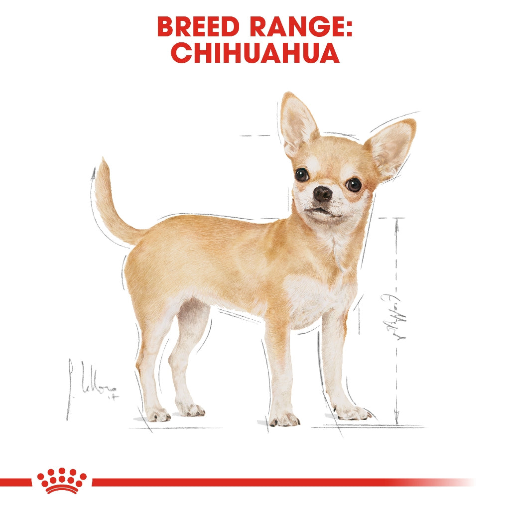 Royal Canin Chihuahua Adult (1.5kg) Dry Dog Food - Breed Health Nutrition