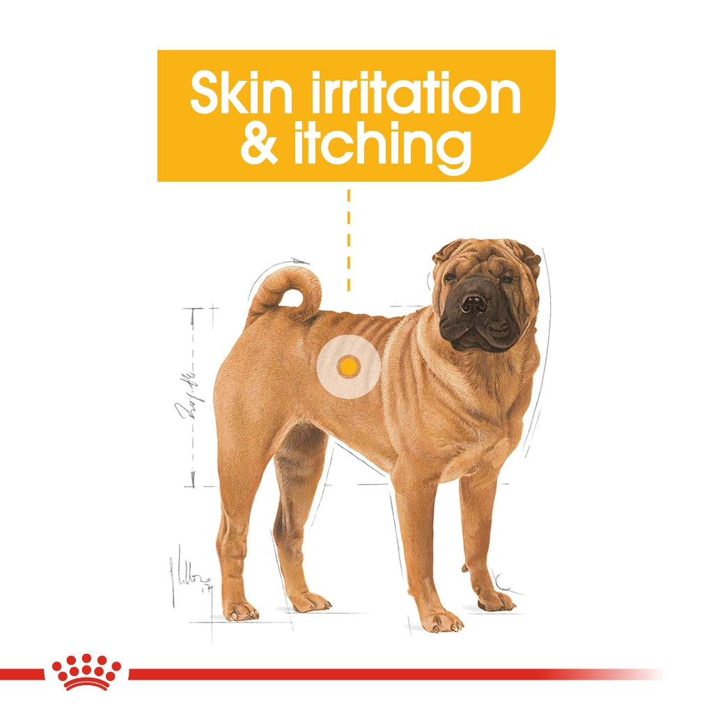 Royal Canin Medium Dermacomfort Adult (12kg) Dry Dog Food