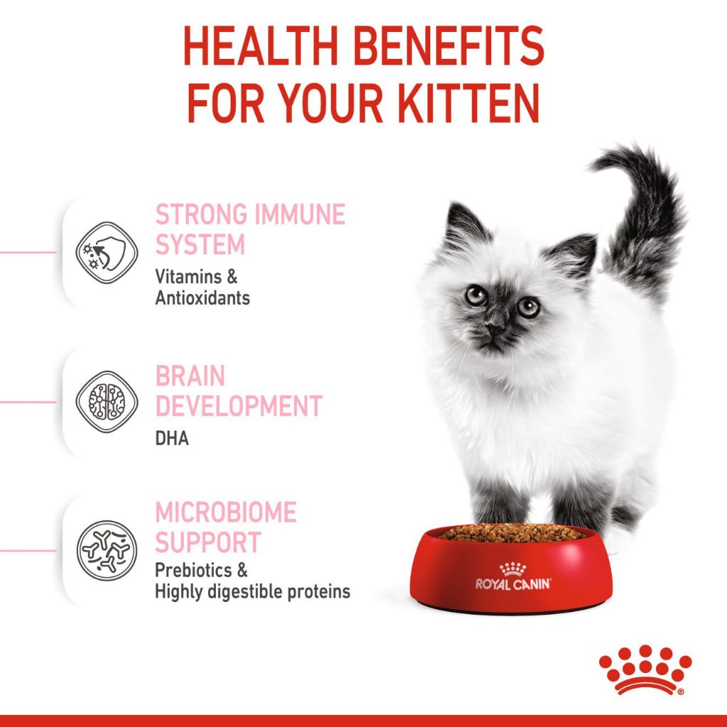 Royal Canin Kitten 2KG/4KG Dry Cat Food