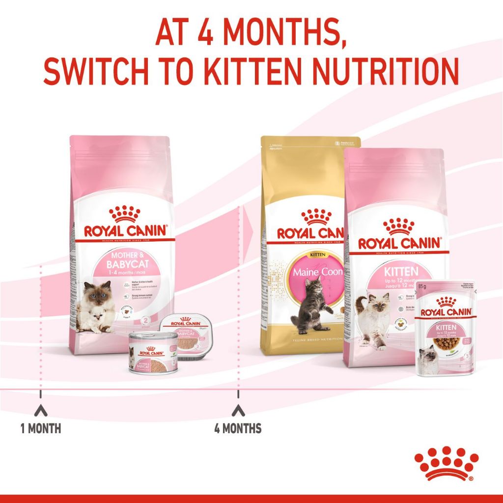 Royal Canin Mother & Babycat 2kg/4KG Dry Cat Food