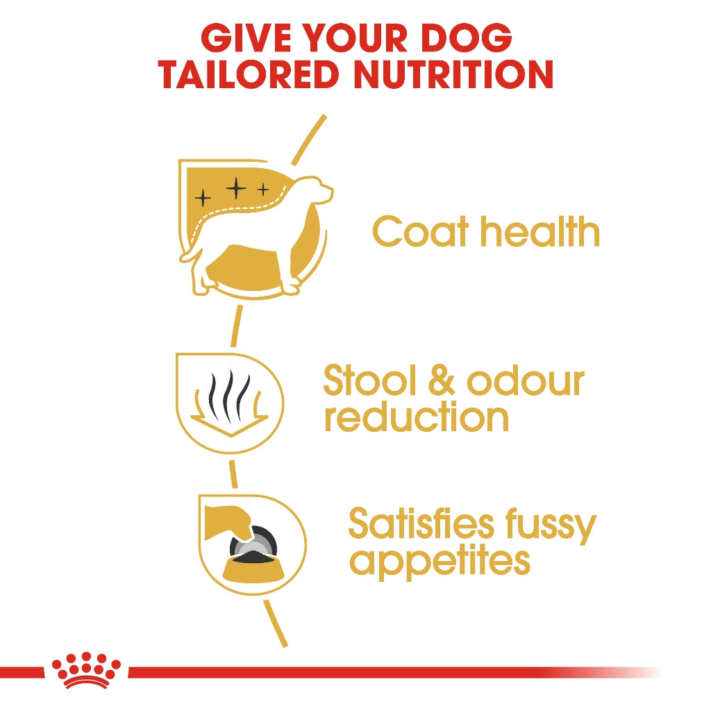 Royal Canin Maltese Breed Health Nutrition Adult Dry Dog Food (1.5kg)