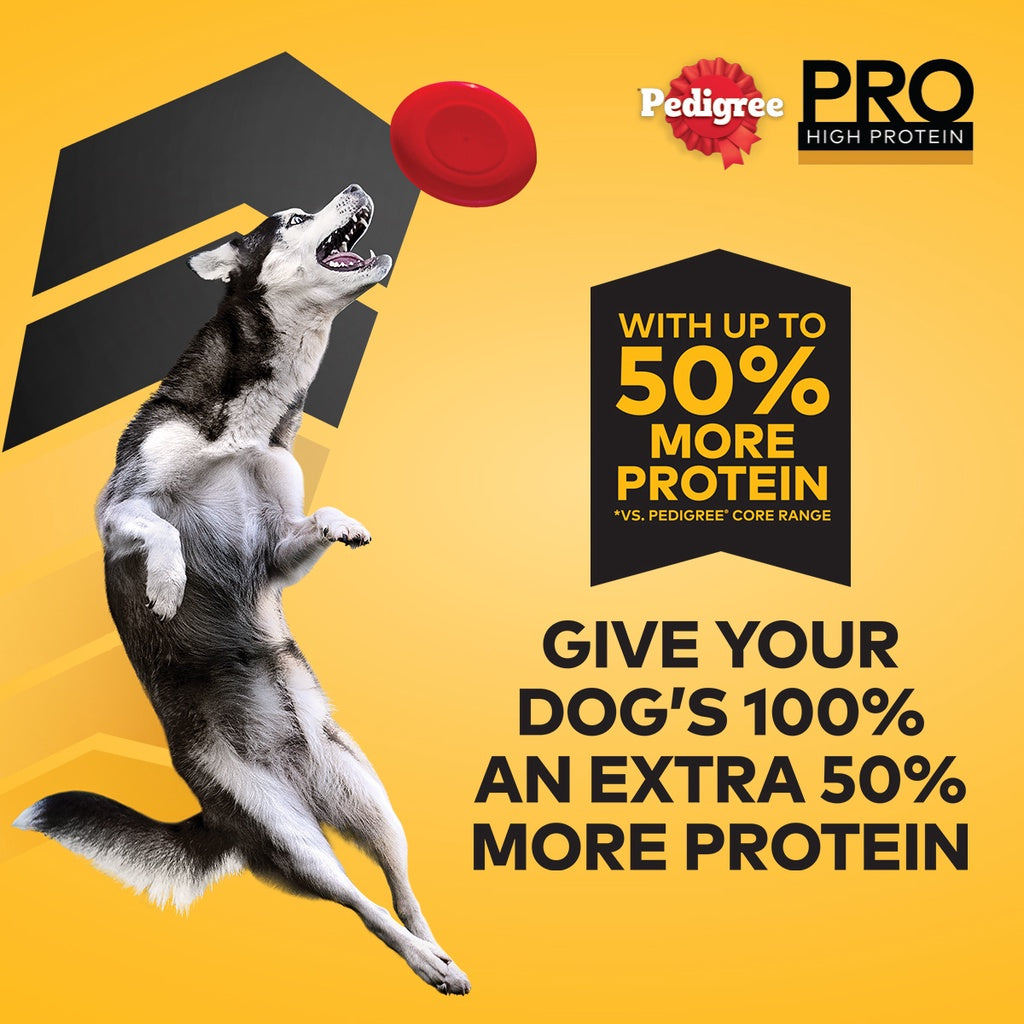 PEDIGREE PRO High Protein Adult Dog Dry Food - Medium & Large Breed Dogs 1.5KG