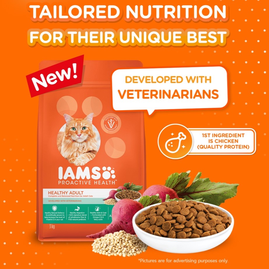 IAMS Premium Cat Dry Food in Chicken and Salmon Meal Flavor 3kg