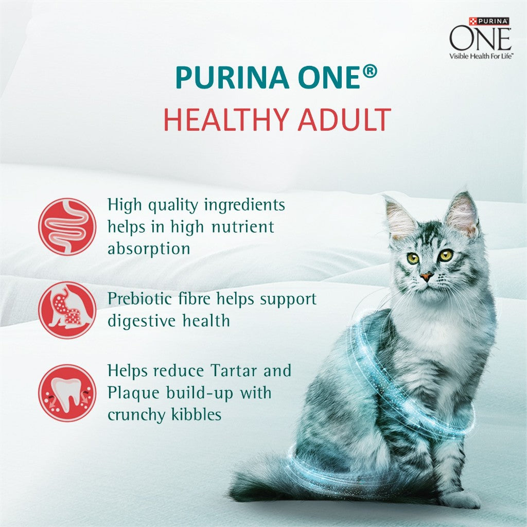 PURINA ONE Adult Dry Cat Food Healthy Adult 1.2kg